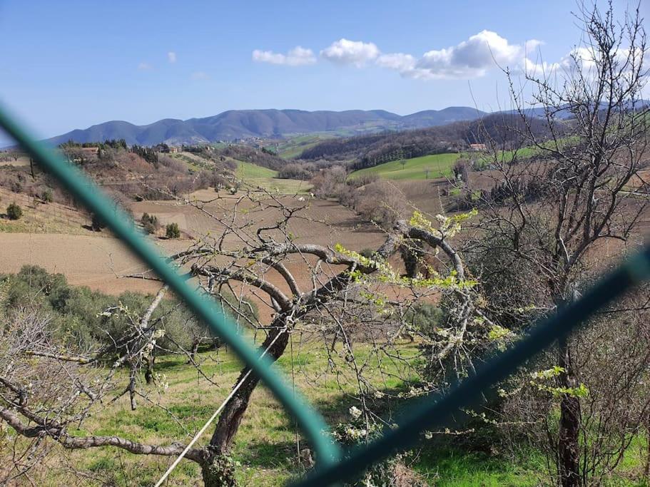 Appartamento La Quiete Tra Le Montagne Apiro Esterno foto