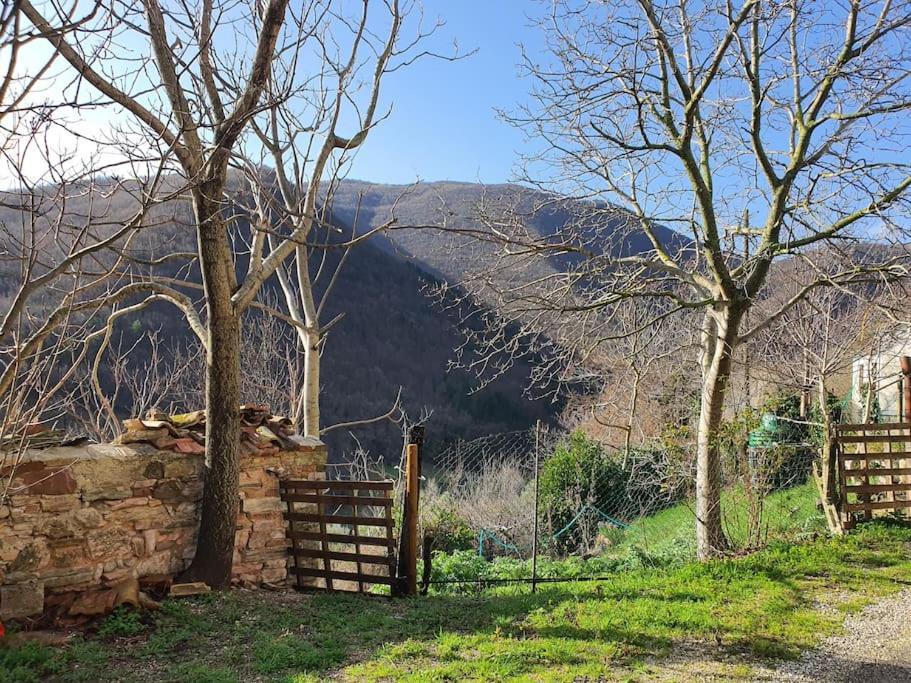 Appartamento La Quiete Tra Le Montagne Apiro Esterno foto